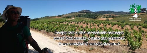 2015: Ciclos de constelações finalizando