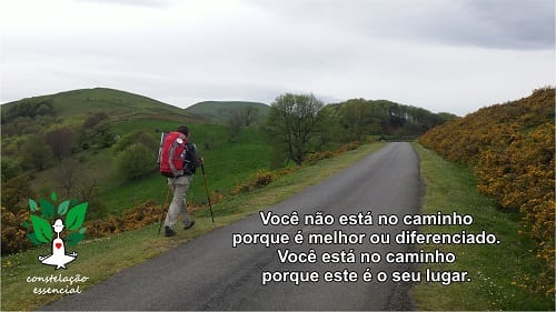 A cura está no caminhar e servir