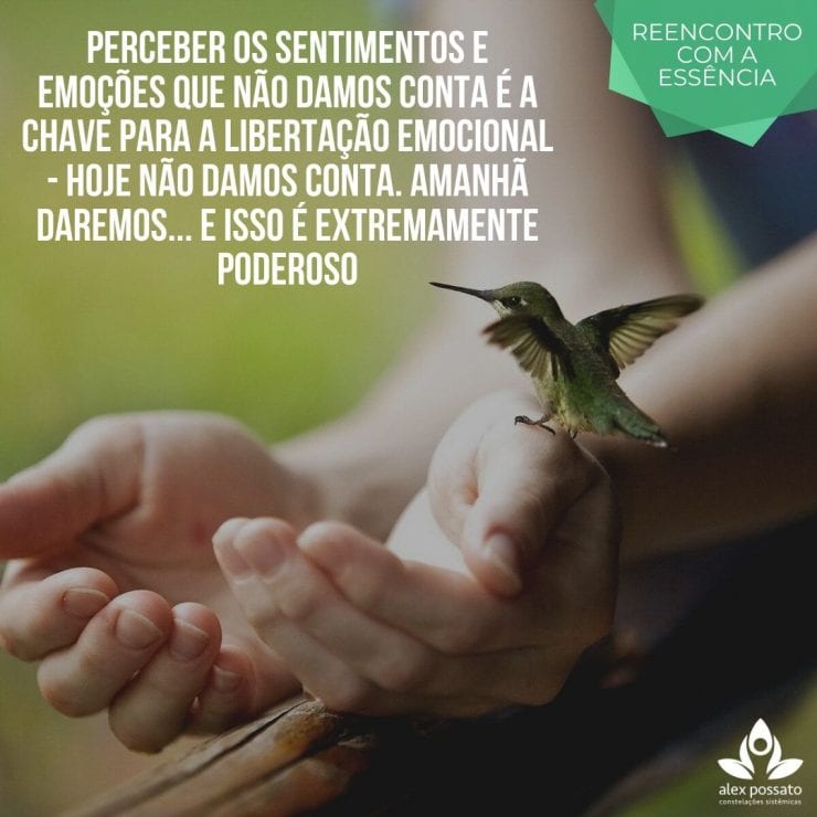 Aprendendo a olhar para nossas dores
