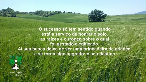 sucesso