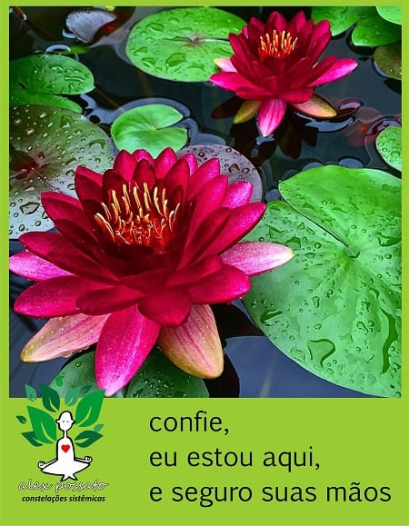 confianca
