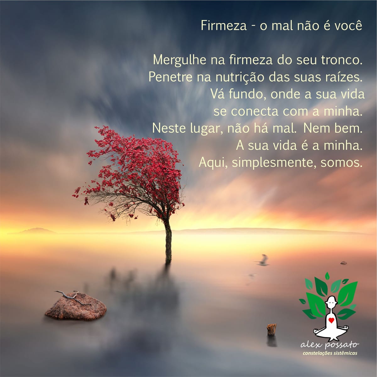 firmeza