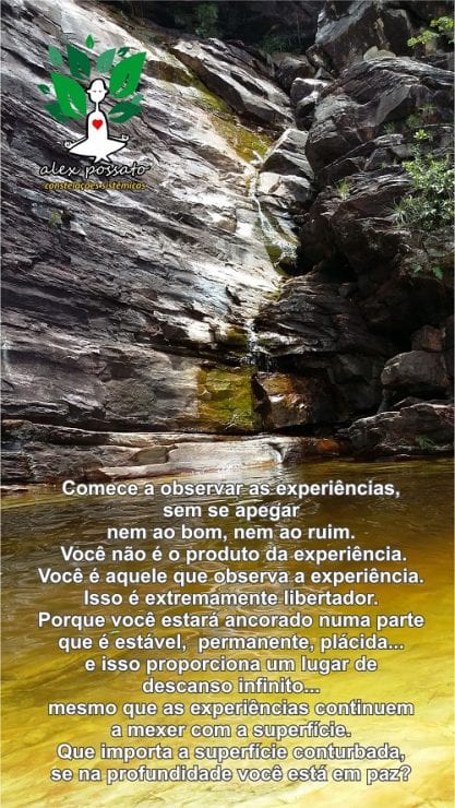 Impulsos emocionais nos fazem cegos