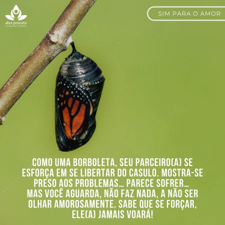 Os desafios da transformação