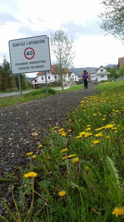 Um caminho de pedras ou flores