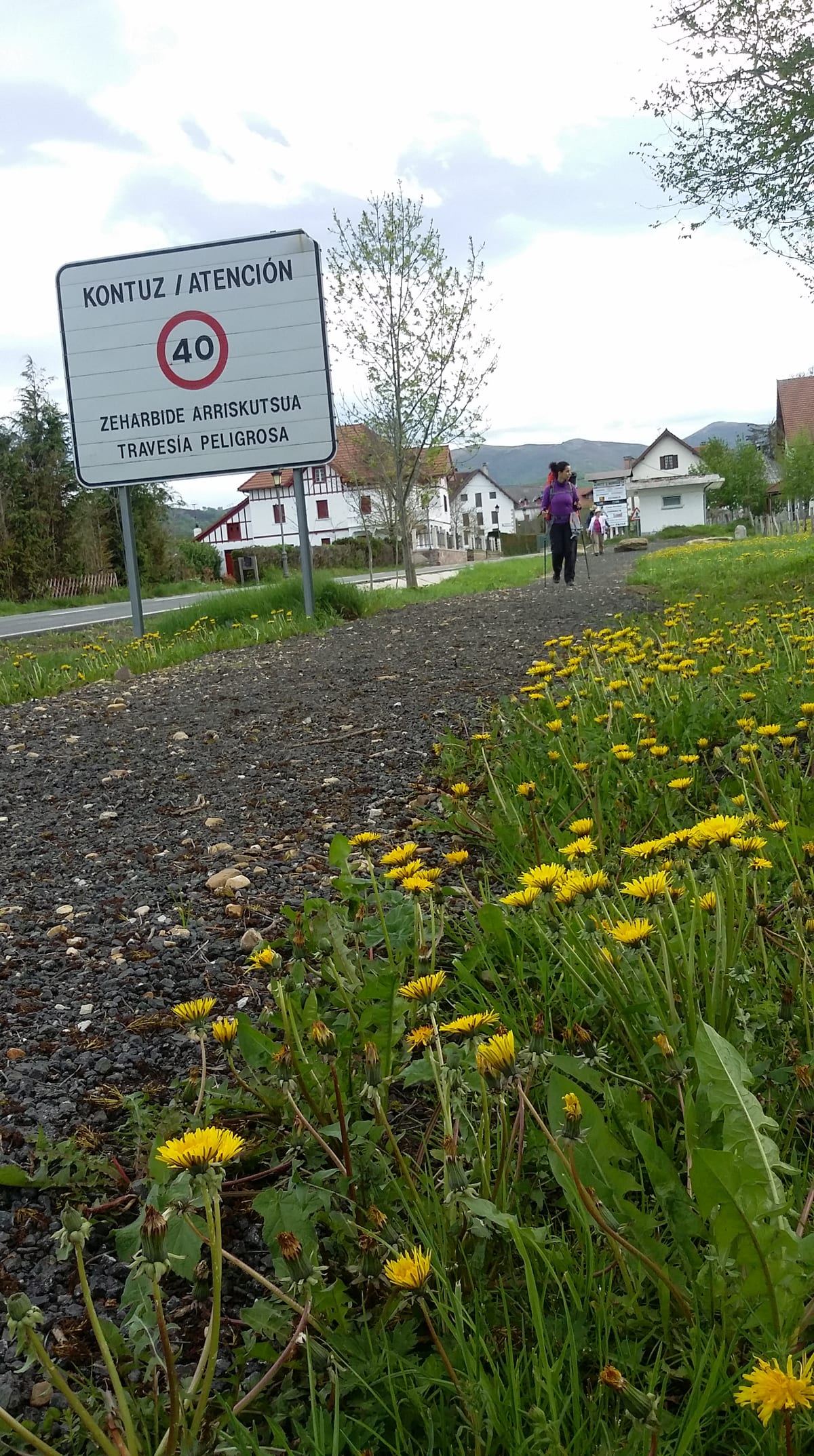 Caminho de Santiago de Compostela, entre Roncesvalles e Zubiri